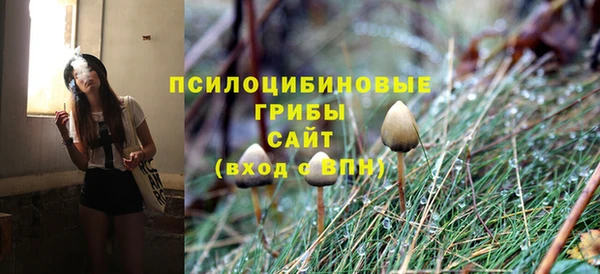 не бодяженный Абдулино