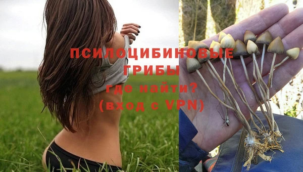 не бодяженный Абдулино