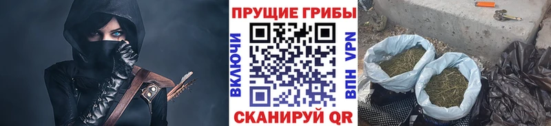 Псилоцибиновые грибы мухоморы Иваново