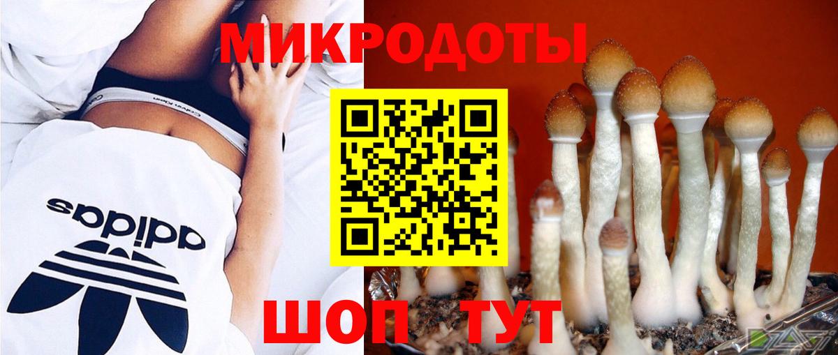Псилоцибиновые грибы ЛСД Иваново
